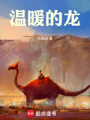 温暖的龙温暖的龙